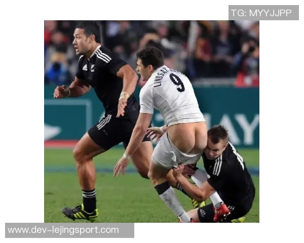 足球场上的幽默瞬间笑话大全带你领略球迷的欢乐时光